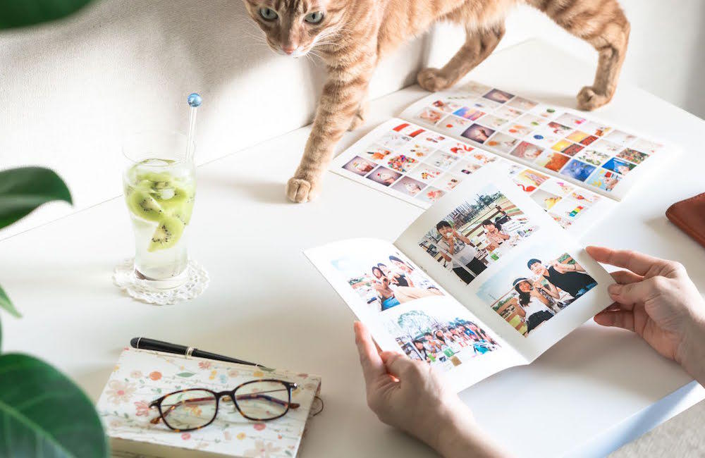 夏休みの思い出で作る！ はじめてのPhotoZINE | 写真と