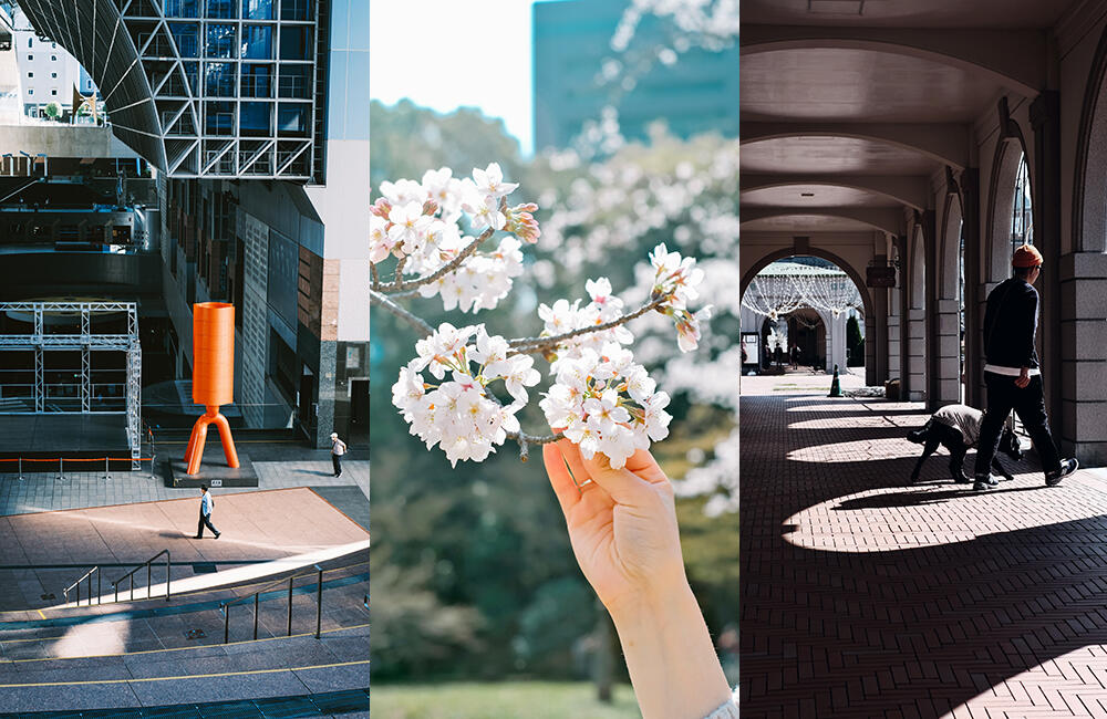 フィルムライクな写真が手軽に撮れる！富士フイルムGFX & Xシリーズ