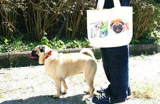 ペットの写真で作るオリジナルトートバッグでお散歩をもっと楽しく！