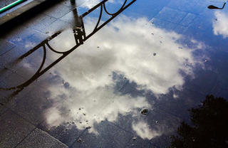 雨の日はシャッターチャンス！幻想的な雨写真を撮ろう