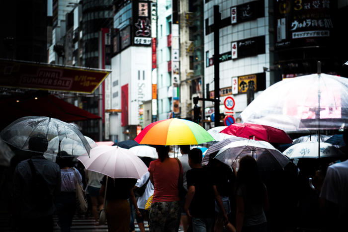 鮮やかな傘.jpg