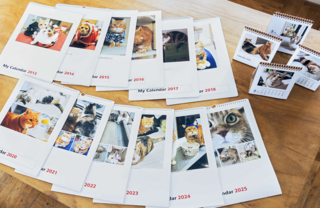 「チューと言えばニャー」のフォトカレンダー。10年以上記録し続ける愛猫との思い出。