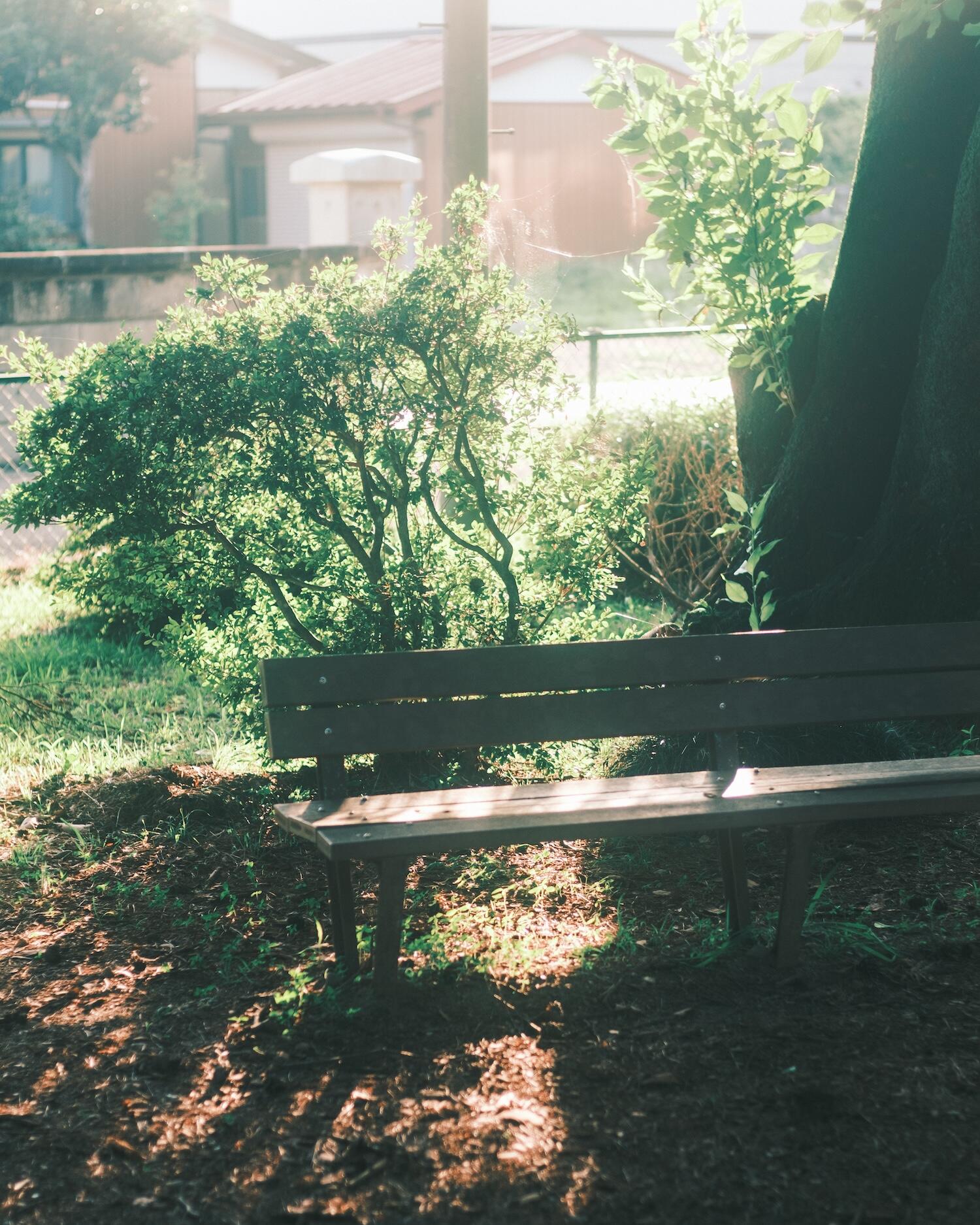 フォトグラファーTKさんの写真