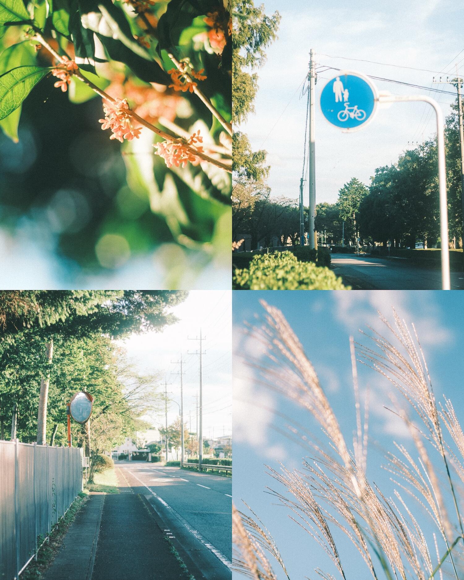 フォトグラファーTKさんの写真