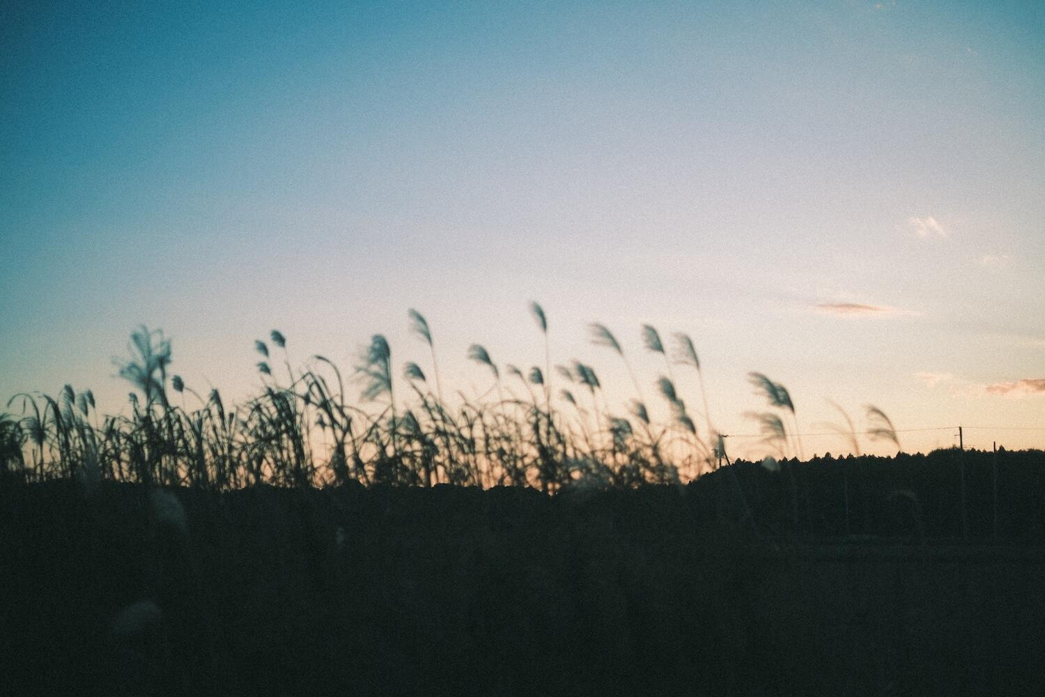 フォトグラファーTKさんの写真