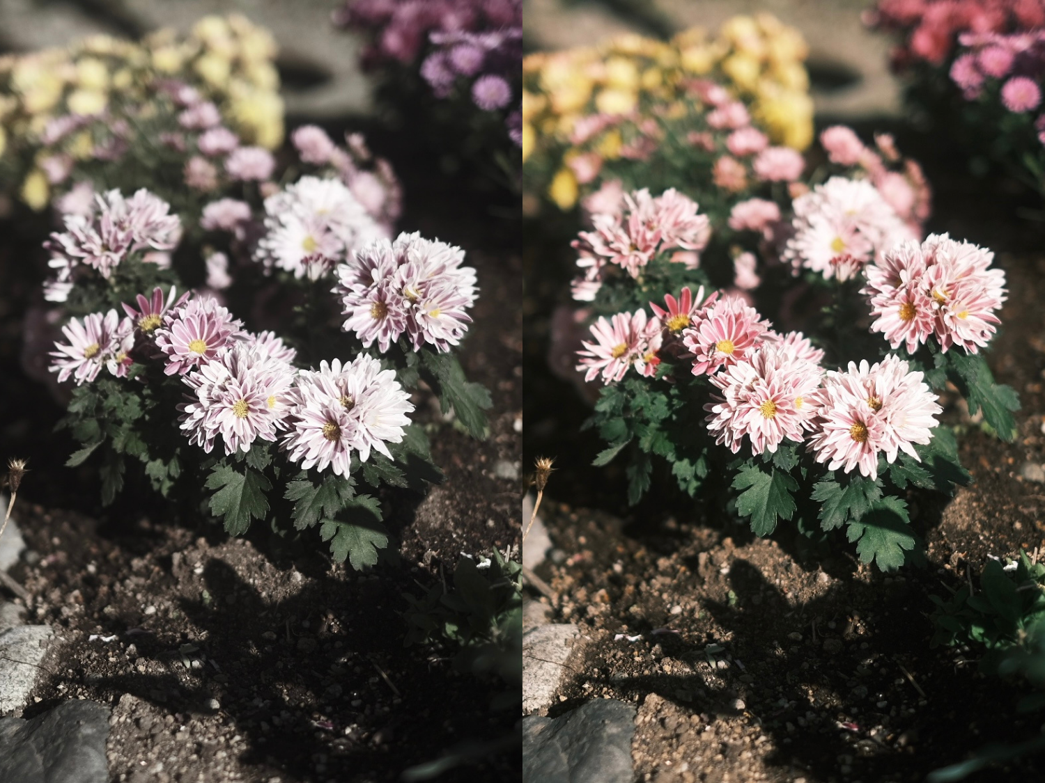 フィルムシミュレーション「エテルナブリーチバイパス」と「クラシックネガ」の違い