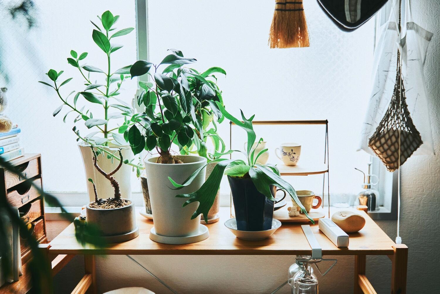 yaneuraさんのご自宅のインテリア