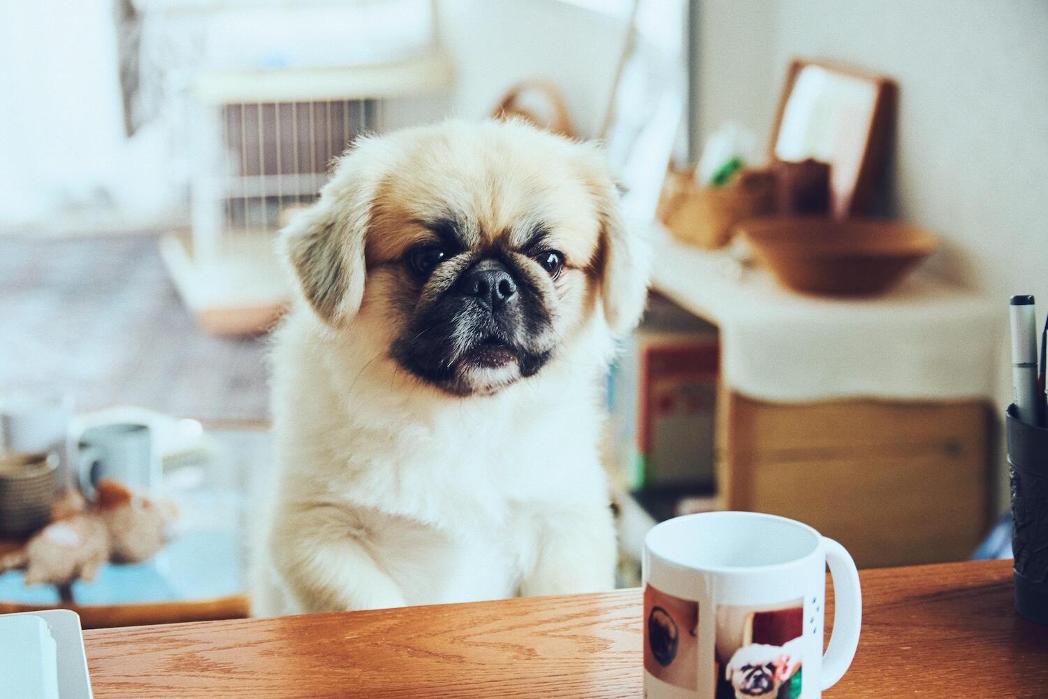 アルバム風マグカップの完成写真