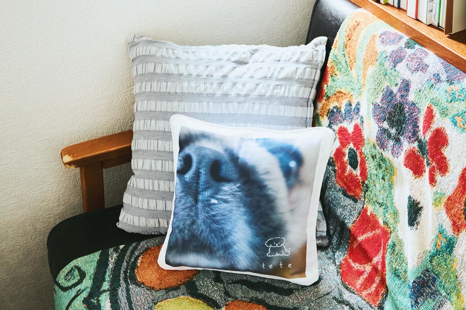 愛犬のパーツクッション