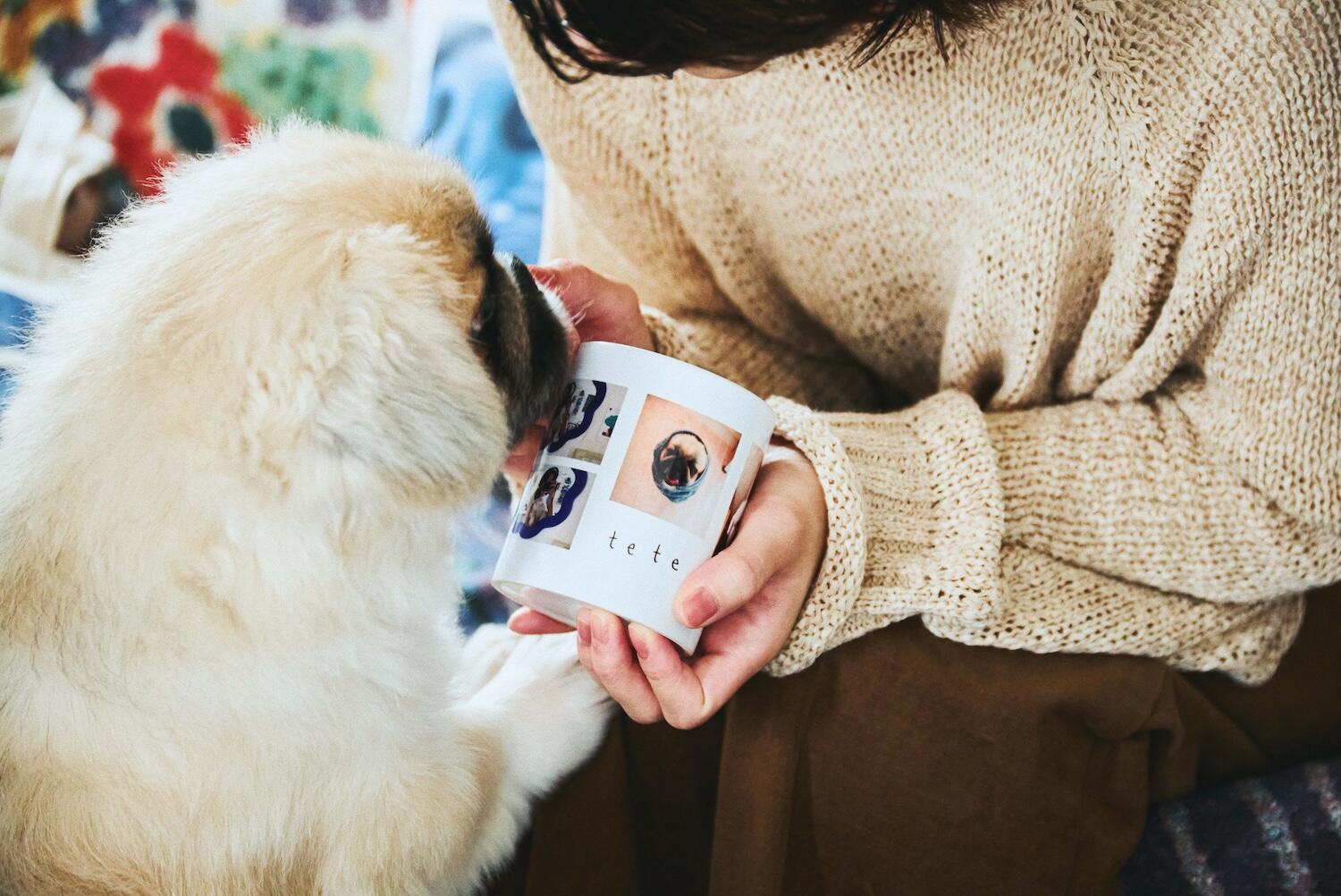 yaneuraさんと愛犬のteteくん