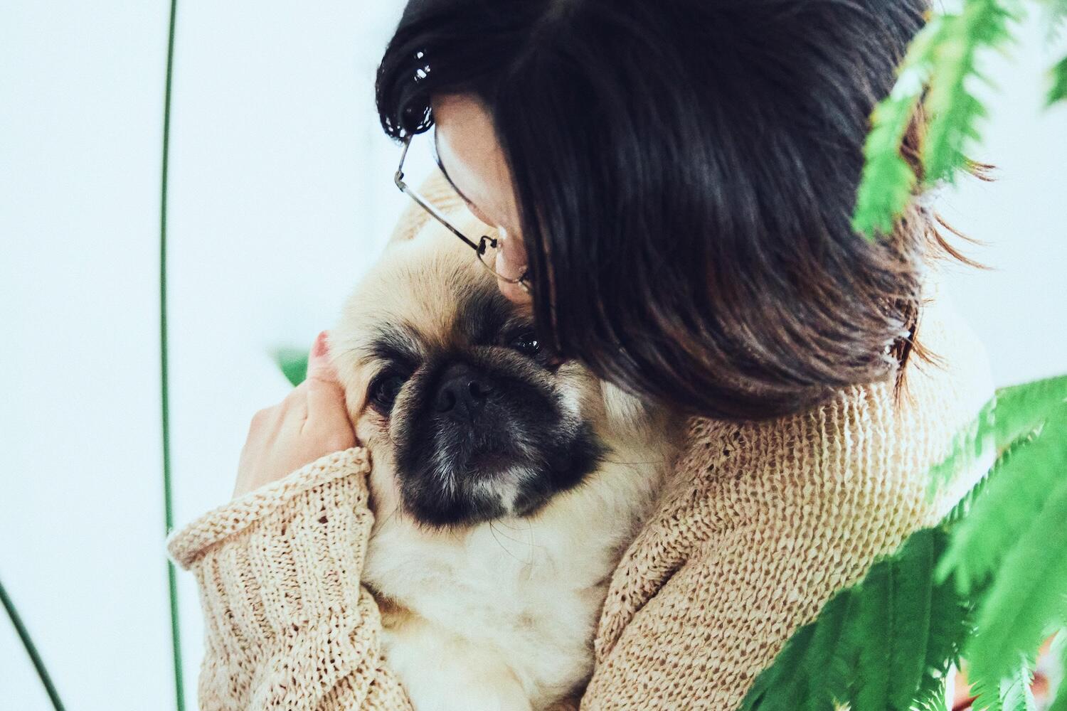 yaneuraさんと愛犬のteteくん