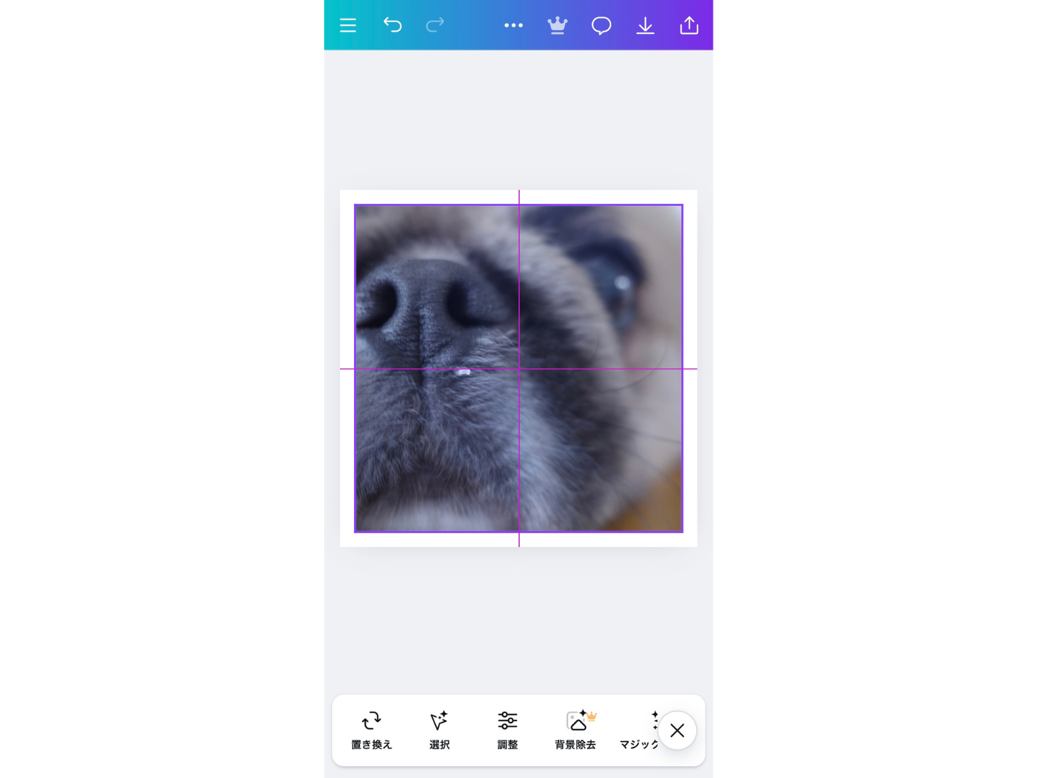 愛犬のパーツクッションの作り方_canvaでキャンバスを作成