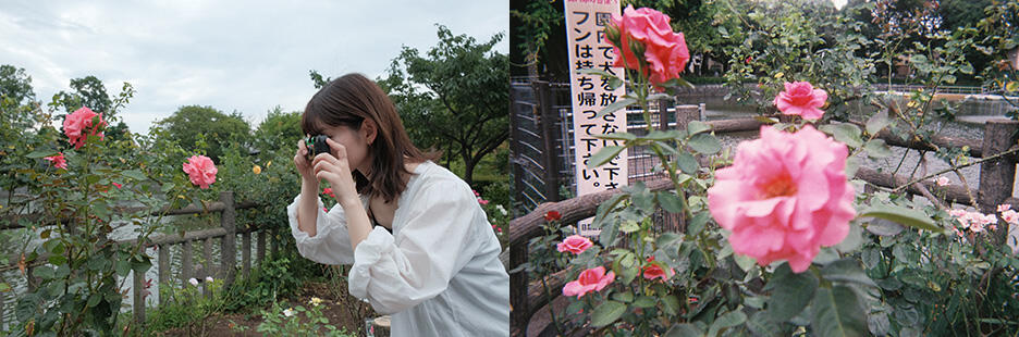 写ルンです撮影距離