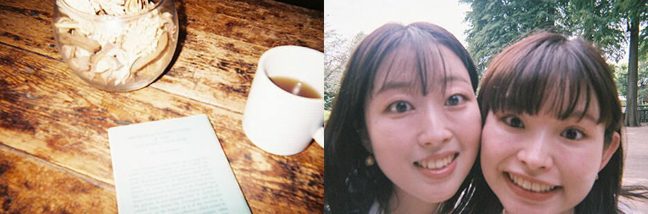 写ルンです撮影距離