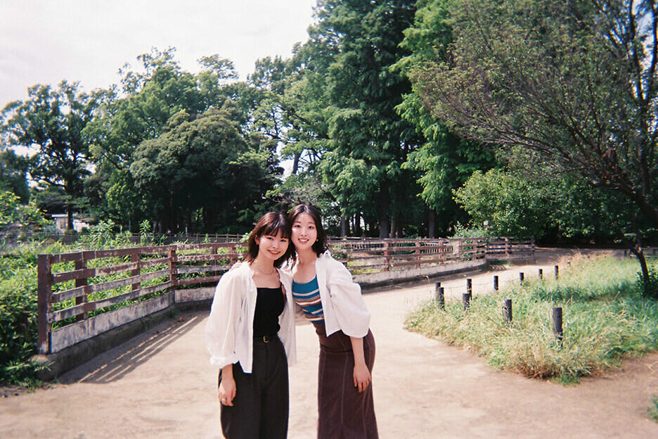 写ルンです撮影距離