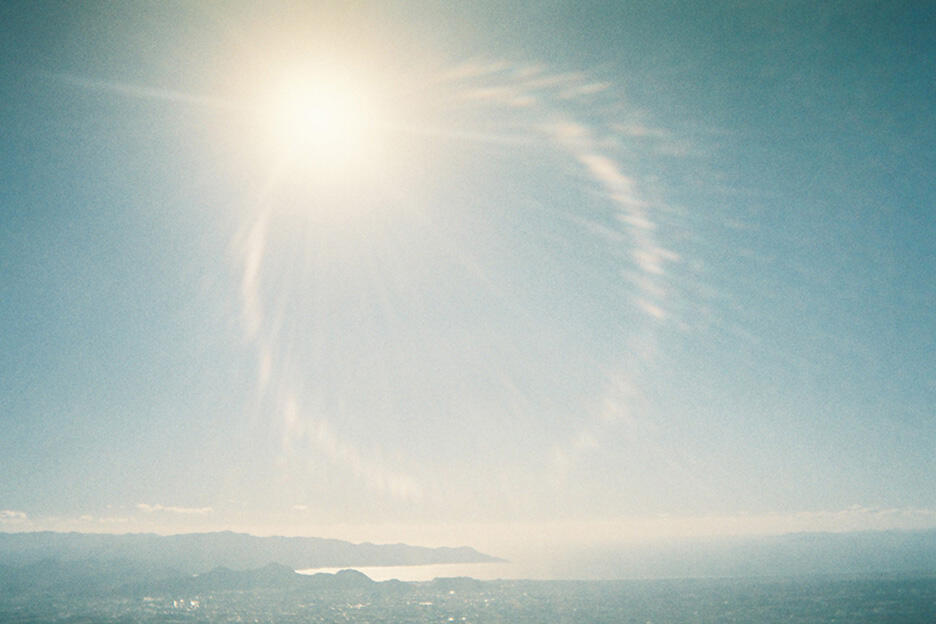 写ルンです撮影のコツ