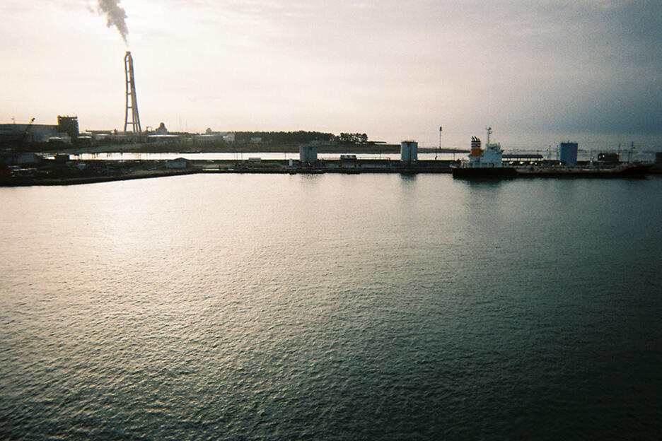 写ルンです撮影のコツ