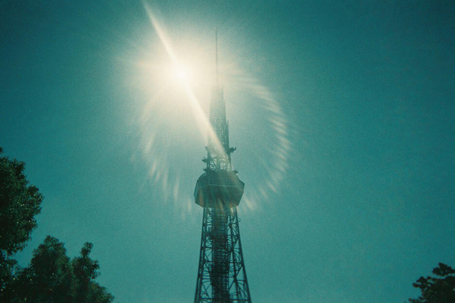 写ルンです撮影のコツ