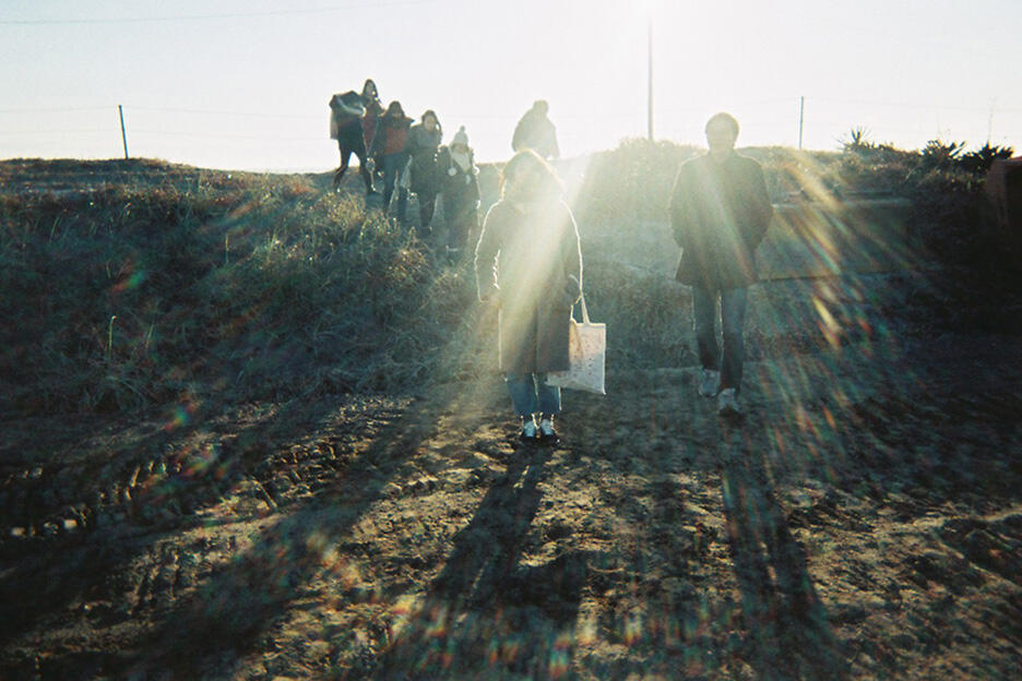 写ルンです撮影のコツ