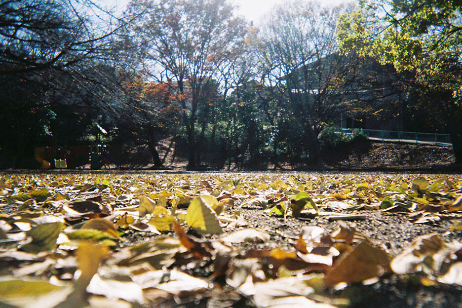 写ルンです撮影のコツ