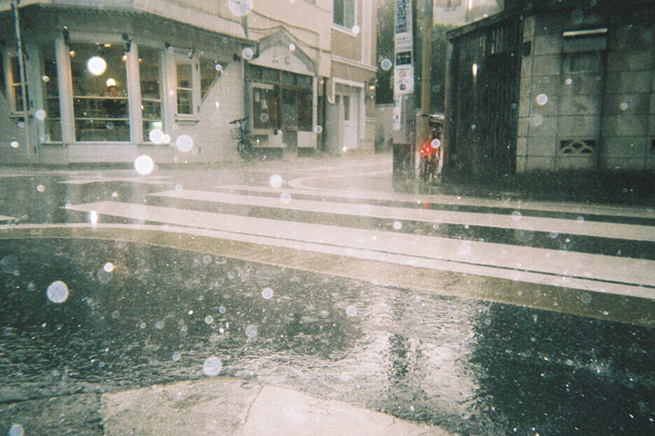 写ルンです撮影のコツ