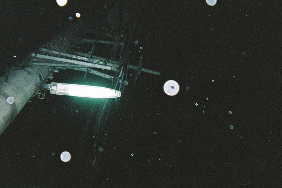 写ルンです撮影のコツ