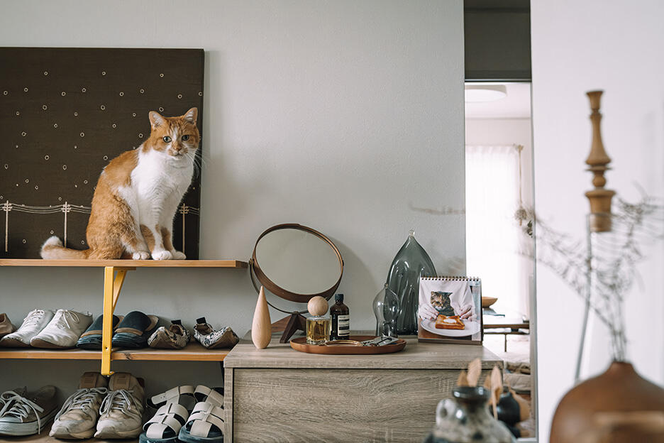 yomowasaさんの愛猫写真でつくるカレンダー