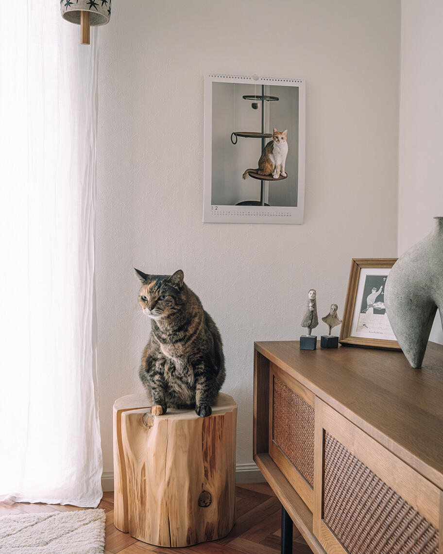 yomowasaさんの愛猫写真でつくるカレンダー