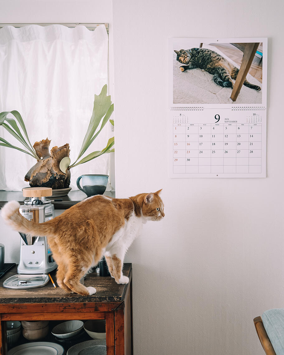 2yomowasaさんの愛猫写真でつくるカレンダー