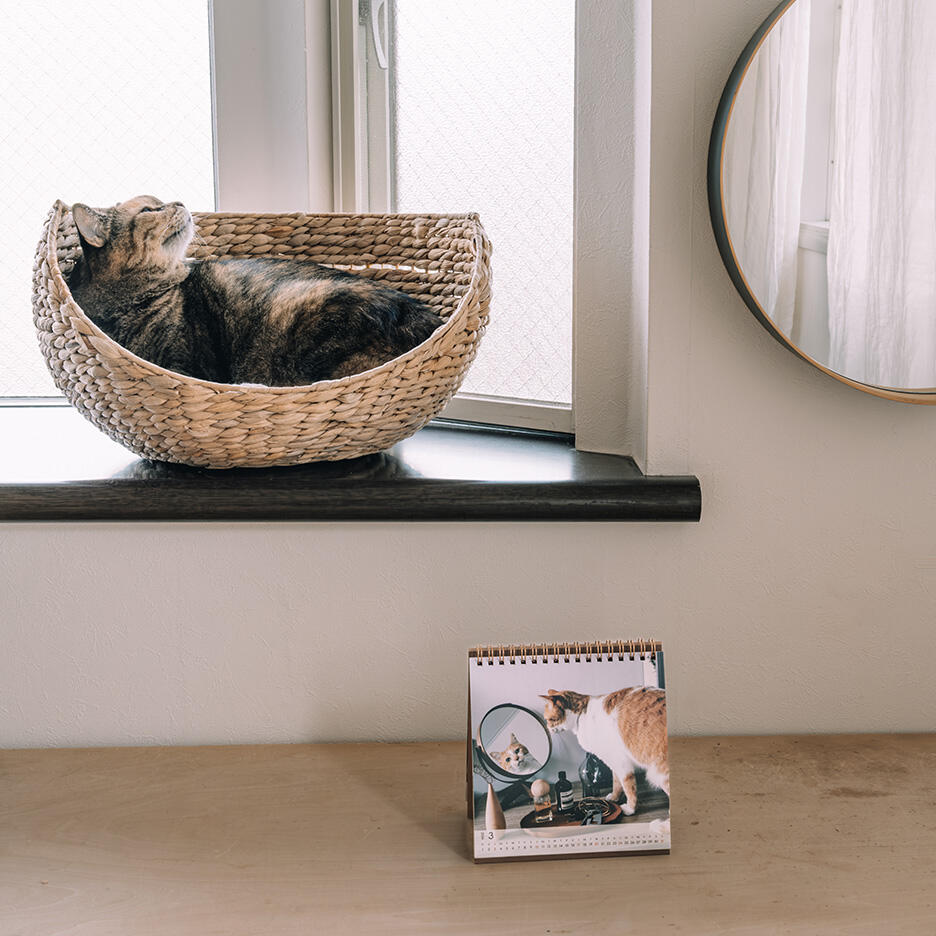 yomowasaさんの愛猫写真でつくるカレンダー