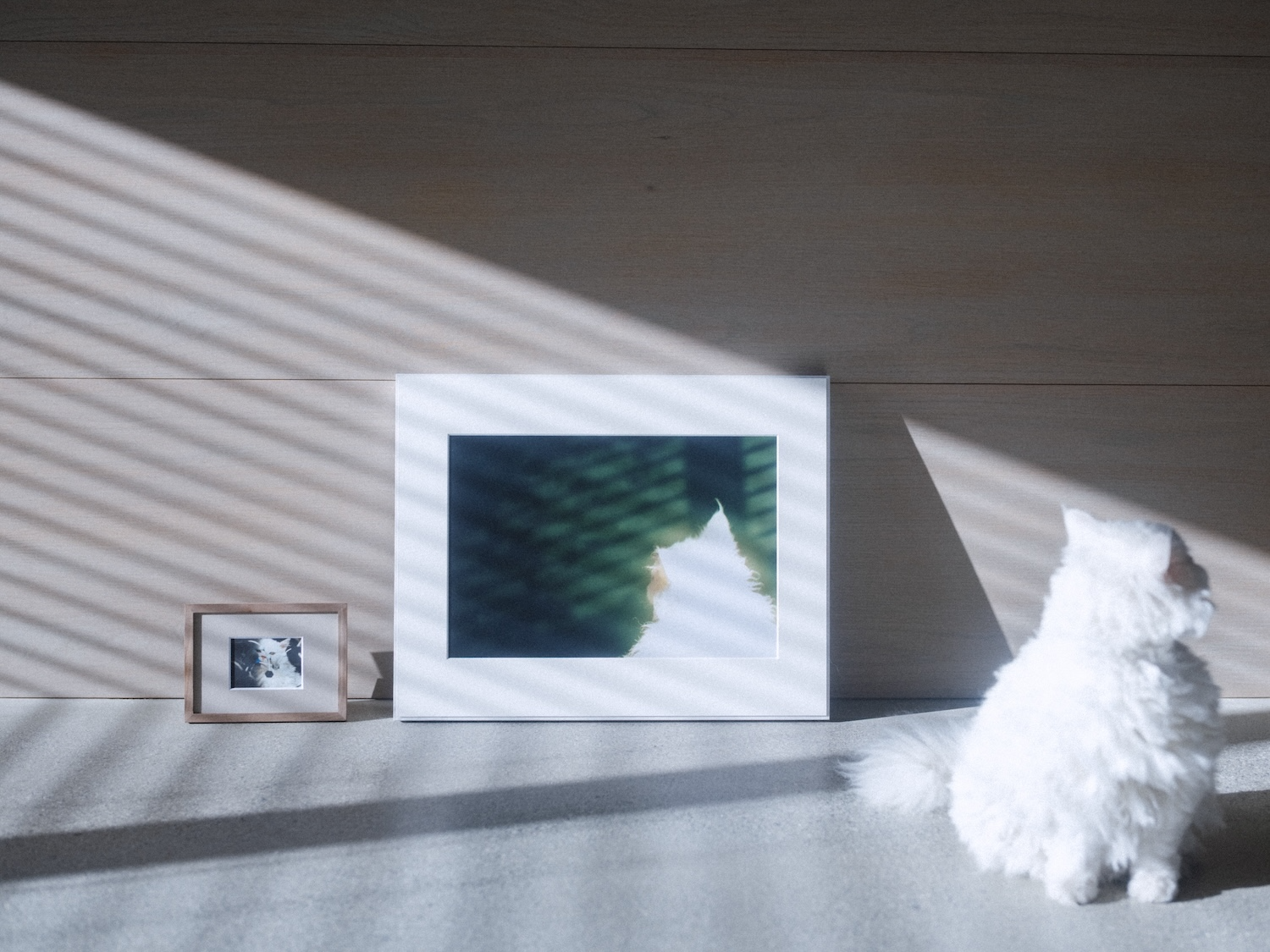 富士フイルム＋preciousframr002とWALLDECORギャラリー