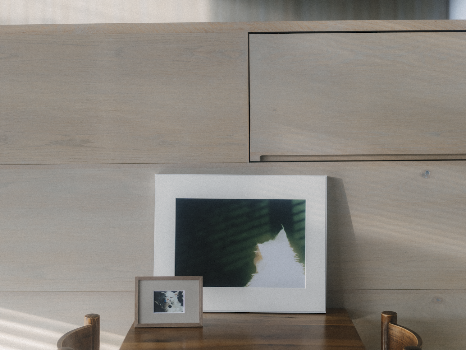 丸尾和穂さんの愛猫ノンタンの写真を額装したもの