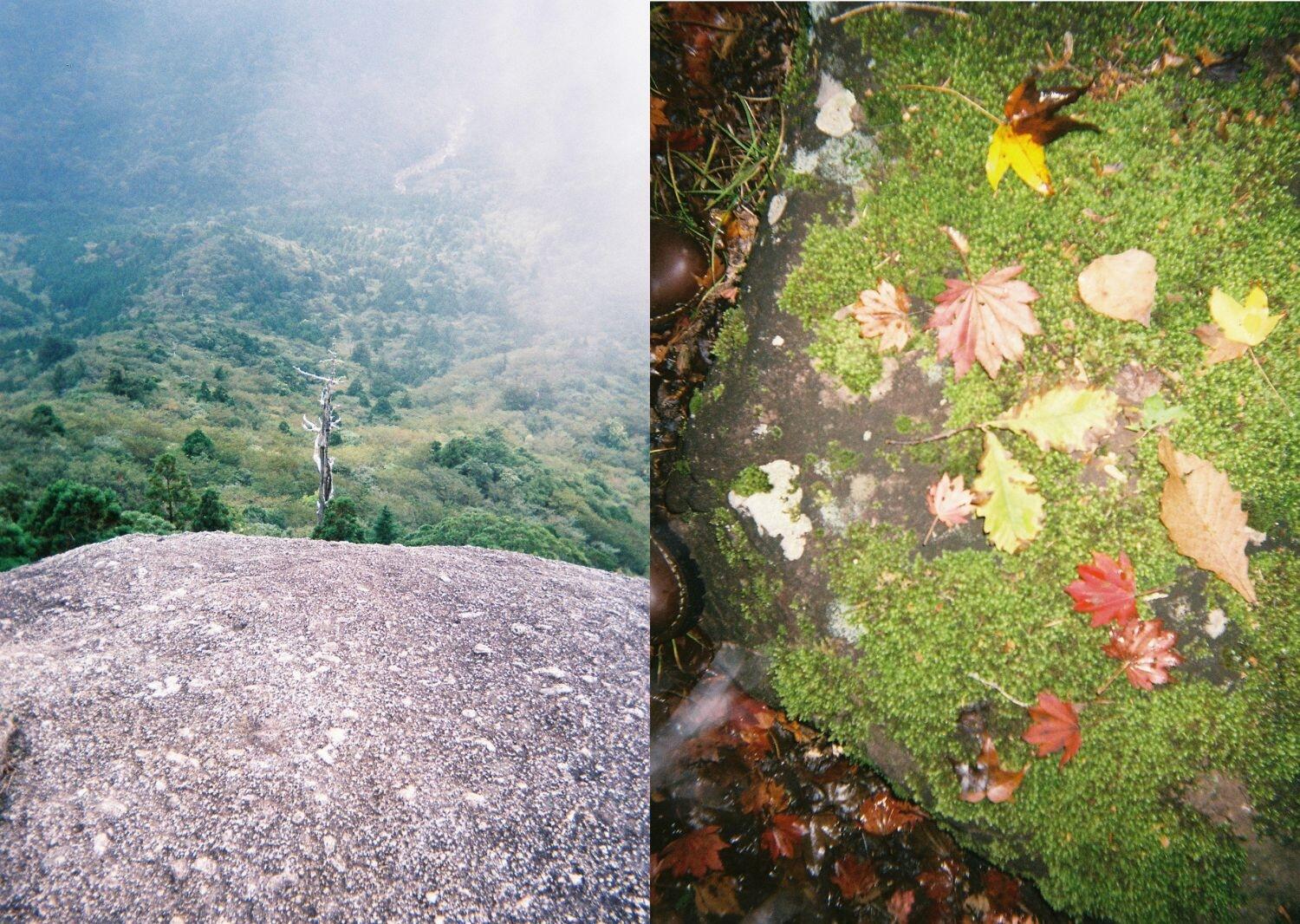 写真家・根本絵梨子さんが写ルンです™で撮った写真