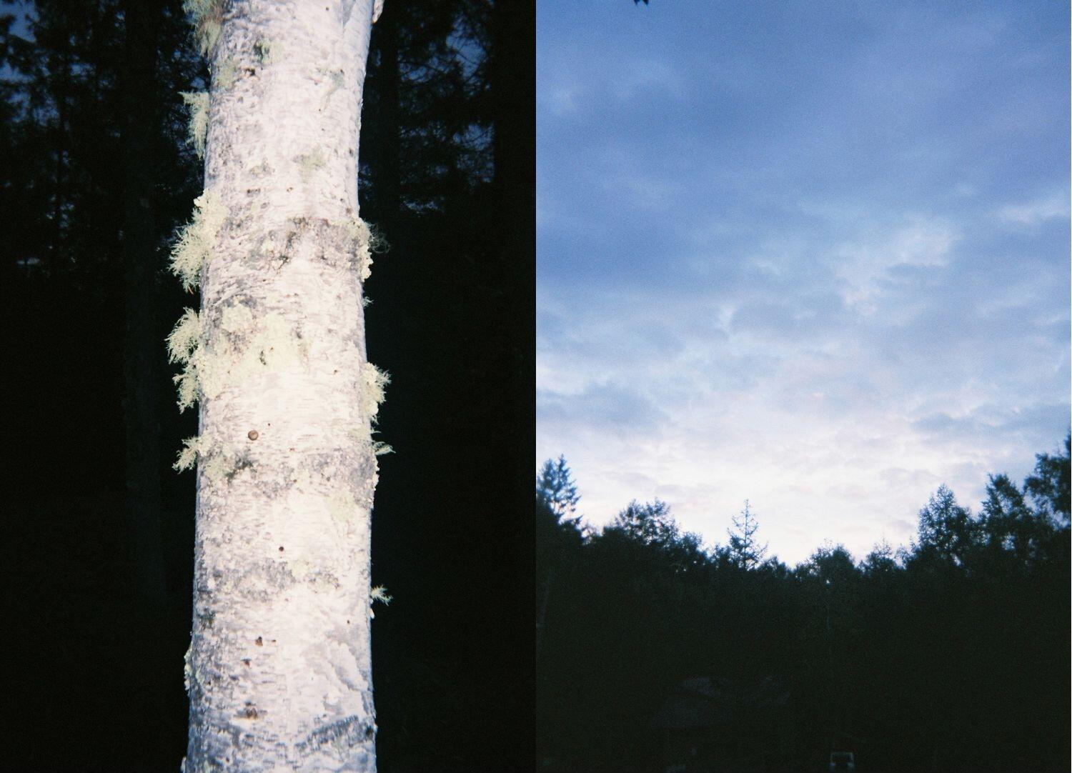 写真家・根本絵梨子さんが写ルンです™で撮った写真