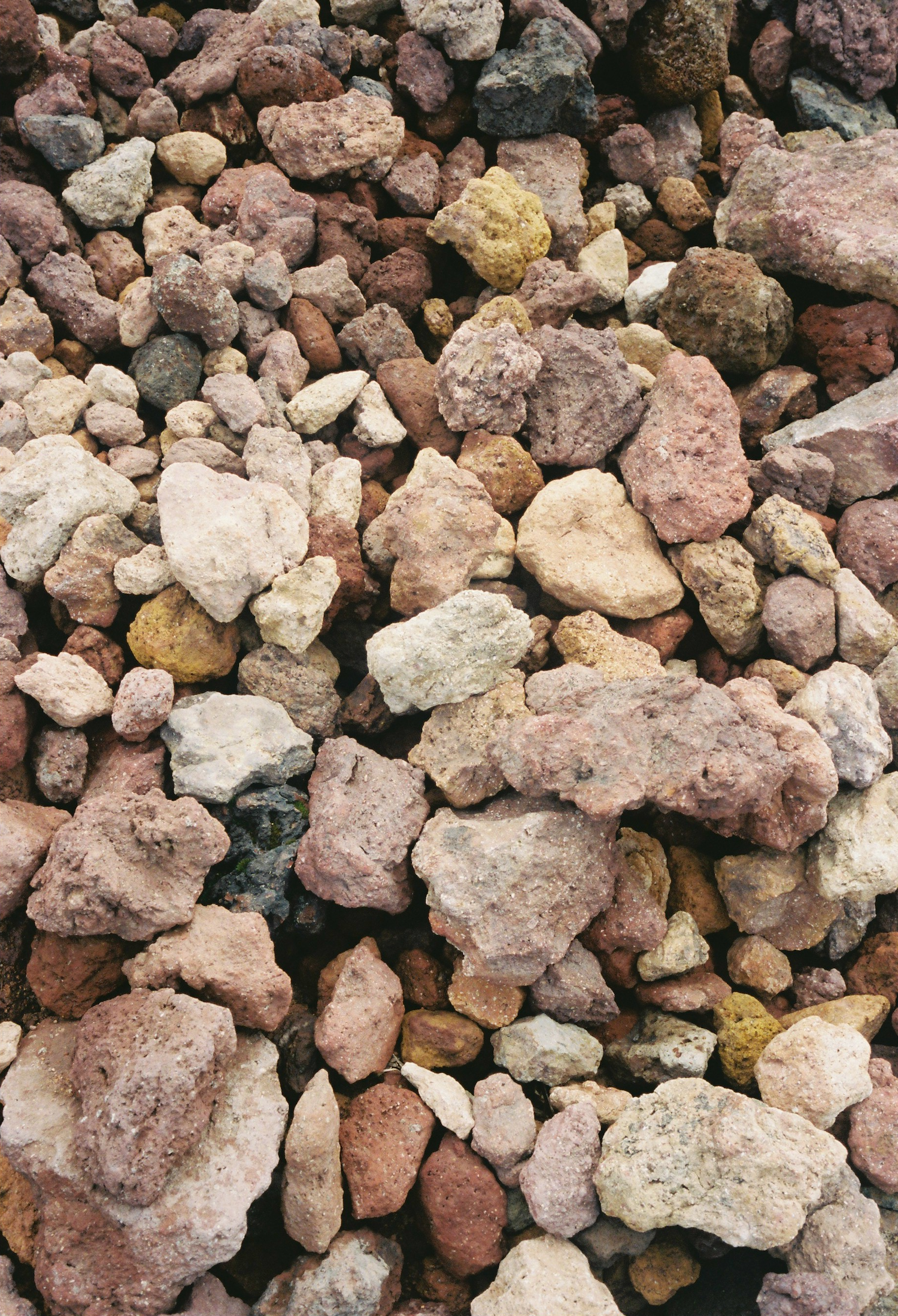 写真家・根本絵梨子さんの写真